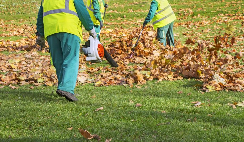 Leaf Blowing Process