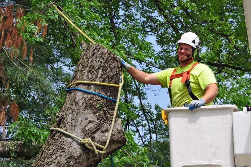 Trimming Safety Gear
